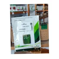 بذر فلفل دلمه 9325 شرکتی فلات ایران با ضمانت