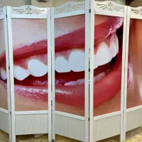 پارتیشن چوبی ( پاراوان)