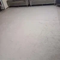 پالاز موکت