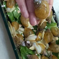 حلزون تراپی|خزنده|زاهدان, |دیوار