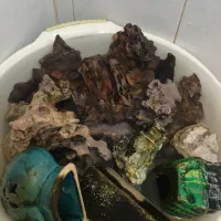 سنگ ومرجان ودراگون برای سیچلاید ودیسکس