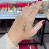 آویز های استیل رنگ ثابت مینیمال|بدلیجات|نیشابور, دارایی|دیوار