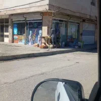 مغازه تجاری اجاره توافقی|اجارهٔ مغازه و غرفه|نهاوند, |دیوار