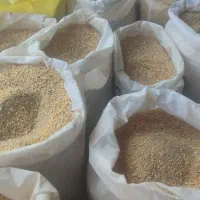 دانه ی مرغی درجه یک تخمگذار مرغ 66تومان هرکیلو دان