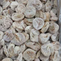 انجیر درجه یک ریجاب