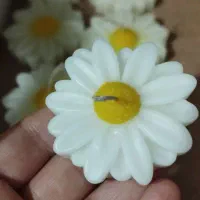 ش م ع نازنین