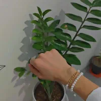 دستبند مروارید پرورشی