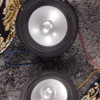 ظبط  باند تویتر  امپیلی کوچیک