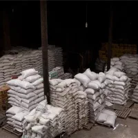 برنج طارم هاشمی ایرانی اعلا خالص به شرط پخت