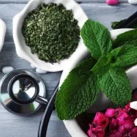 راهنمایی اشتغال