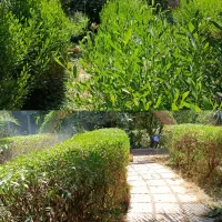 هرس تخصصی درختان و طراحی فضای سبز مدارس و ادارات|خدمات باغبانی و درختکاری|دزفول, |دیوار