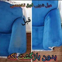 مبلشویی دلتا پاک