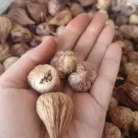 انجیر خشک شده و تازه میمه