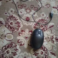 قیمت ارزون