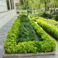 خدمات باغبانی باغچه کاری تعویضی خاک باغچه کاشت
