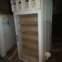 دستگاه جوجه کشی|ماشینآلات صنعتی|یاسوج, |دیوار