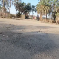 زمین محمدان 100متر فاصله با بزرگراه فتح مرادی