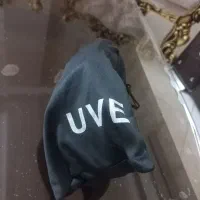 عینک ضد طوفان|کوهنوردی و کمپینگ|ابهر, |دیوار