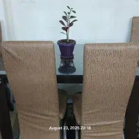 میزغذاخوری ۴ نفره