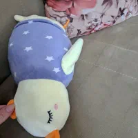 عروسک|اسباب‌‌بازی|بیرجند, |دیوار