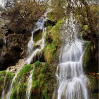 تور یکروزه