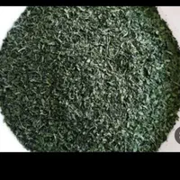 شویدنعناع شنبلیله بومی بدون خاک بشرط ده ک به بالا|خوردنی و آشامیدنی|کاشان, بازار کاشان|دیوار
