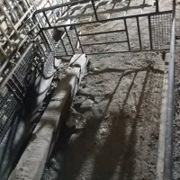 بار بند