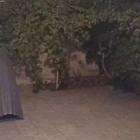 هاشمیه-نوزده-بهمن-همکف-90-متری-60-متر-حیاط-اختصاصی