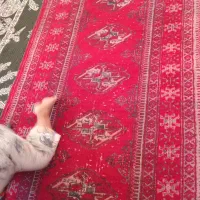 کناره دست بافت
