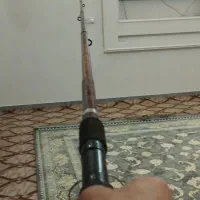 لنسر ماهیگیری سالم در حد