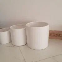 گلدان|گل و گیاه طبیعی|ویلکیج, |دیوار