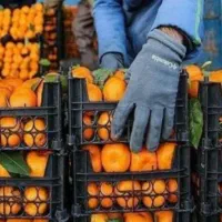 نیرو (با جای خواب)