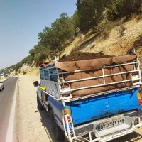 فروش کود حیوانی