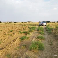 پژو 405دوگانه شرکت96