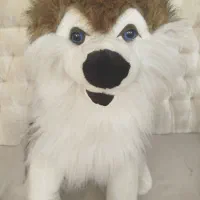 عروسک|اسباببازی بچه|تبریز, |دیوار