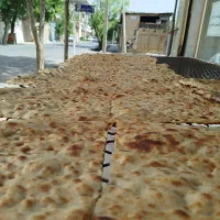 نیازمند نیرو در نانوایی سنگکی دوار همراه با آموزش