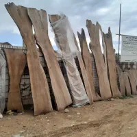 چوب و خرید و فروش تخته|عمدهفروشی|شیراز, قلات|دیوار