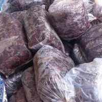 خرمای عسلی بلوچستان|خوردنی و آشامیدنی|مشهد, شهرک مهر آباد|دیوار