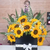 باکس گل آفتابگردان