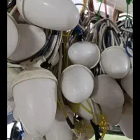 اجاره ریسه بلوطی هفت رنگ