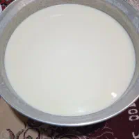 کشک دوغ وشیراز و ماست محلی|خوردنی و آشامیدنی|کوهدشت, |دیوار