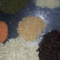 حبوبات،لوبیا،عدس،نخود،چای زیرقیمت موجودکردیم|خوردنی و آشامیدنی|شوشتر, |دیوار
