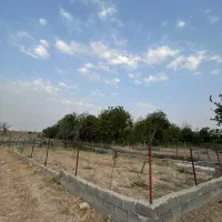 زمین کهک|فروش زمین و ملک کلنگی|قم, ارم|دیوار