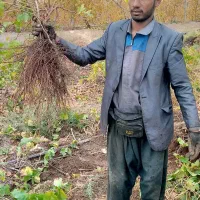فروش پاییزه شروع شد