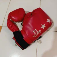 دستکش بوکس و اسکیت