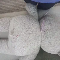 عروسک خرس زیبا|اسباب‌‌بازی|گرگان, |دیوار