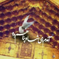 کاروان زیارتی بعد از ماه صفر