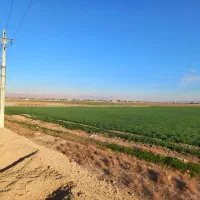 زمین کشاورزی سند ششدانگ|فروش زمین و ملک کلنگی|شریفآباد, |دیوار