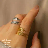 فروش انواع بدلیجات استیل رنگ ثابت