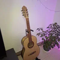 گیتار Benberg BG-493|گیتار، بیس، امپلیفایر|رشت, کوی مهر|دیوار